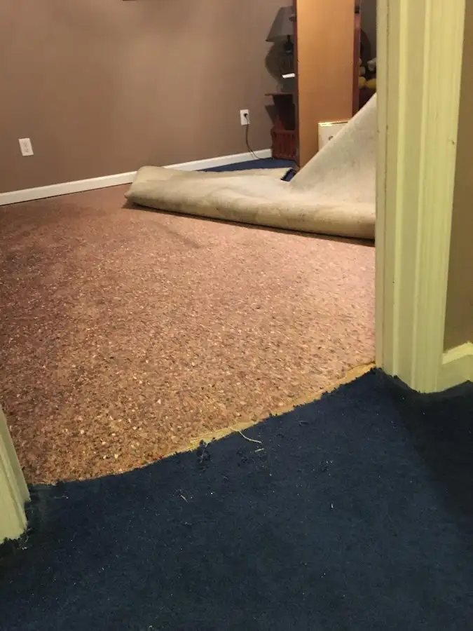 Carpet pad removal revealing water damage during Drying & Dehumidification in Allendale