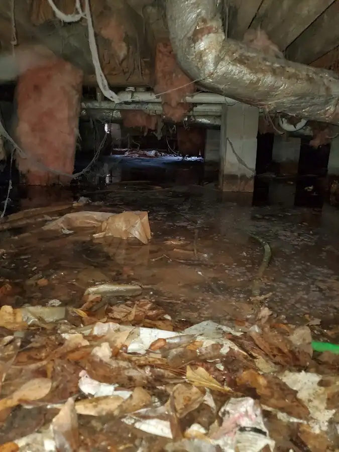 Crawl space flood assessment for Commercial Water Damage Restoration in Allendale