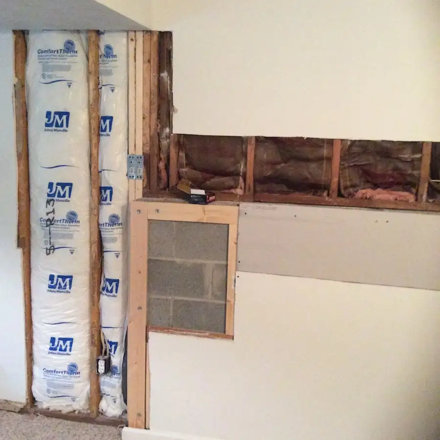 Wall insulation replacement during Basement Flood Cleanup in Allendale